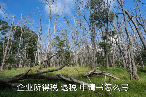 企業所得稅 退稅 申請書怎么寫