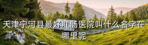 天津寧河縣最好肛腸醫院叫什么名字在哪里呢