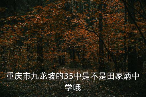 重慶市九龍坡的35中是不是田家炳中學哦