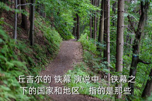 丘吉爾鐵幕演說,丘吉爾of鐵幕演說正式拉開冷戰序幕