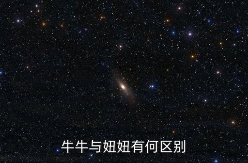 妞妞和牛牛，牛牛與妞妞有何區別