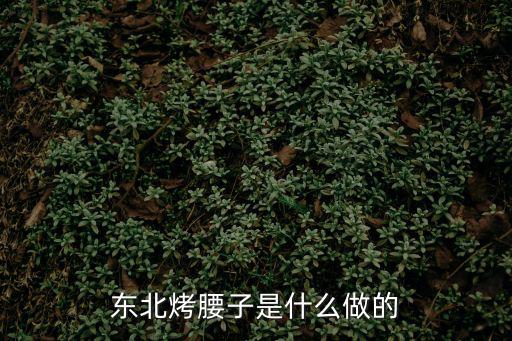 烤腰子，東北烤腰子是什么做的