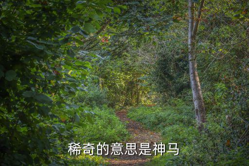 希奇的意思,三小時驚喜的意思是什么?
