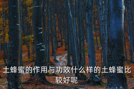 土蜂蜜的作用與功效什么樣的土蜂蜜比較好呢