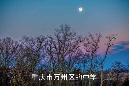 重慶市萬(wàn)州分水中學(xué)全稱，重慶市萬(wàn)州區(qū)分水中學(xué)綜合素質(zhì)評(píng)價(jià)網(wǎng)址