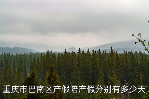 重慶市巴南區(qū)產(chǎn)假陪產(chǎn)假分別有多少天