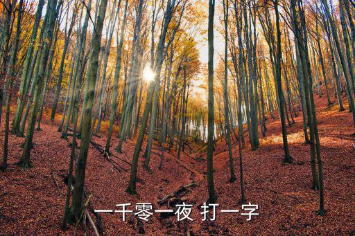 一千零一夜打一字，一千零一夜 打一字
