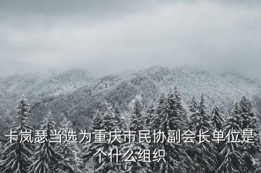 卡嵐瑟當(dāng)選為重慶市民協(xié)副會長單位是個什么組織