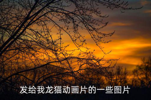 發給我龍貓動畫片的一些圖片