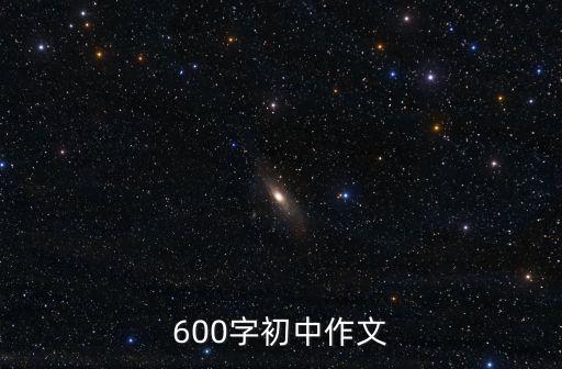 作文600字初中，600字初中作文
