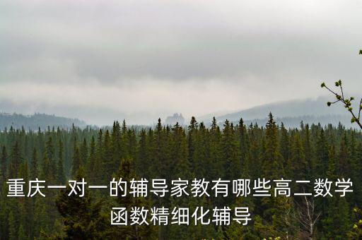 重慶一對一的輔導家教有哪些高二數學函數精細化輔導