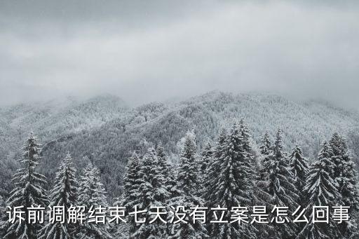 訴前調解結束七天沒有立案是怎么回事