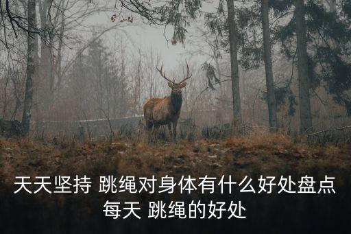 天天堅持 跳繩對身體有什么好處盤點每天 跳繩的好處