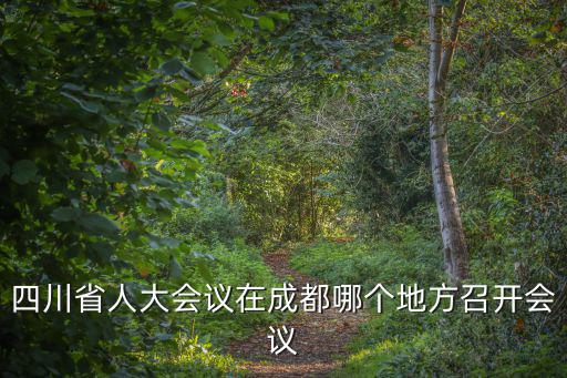 四川省人大會議在成都哪個地方召開會議