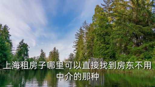 上海房東直租平臺，只有房東的個人租房網站在哪里