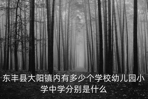 東豐縣大陽鎮內有多少個學校幼兒園小學中學分別是什么