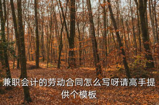 兼職會計的勞動合同怎么寫呀請高手提供個模板