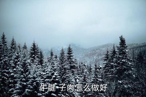  牛腱 子肉怎么做好