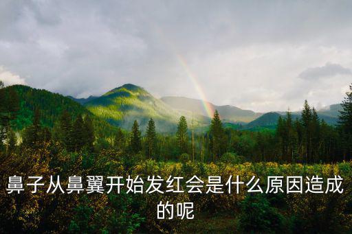 鼻子從鼻翼開始發紅會是什么原因造成的呢