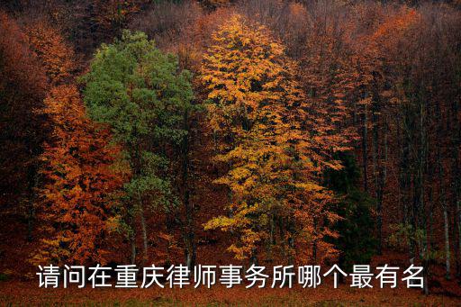請問在重慶律師事務所哪個最有名