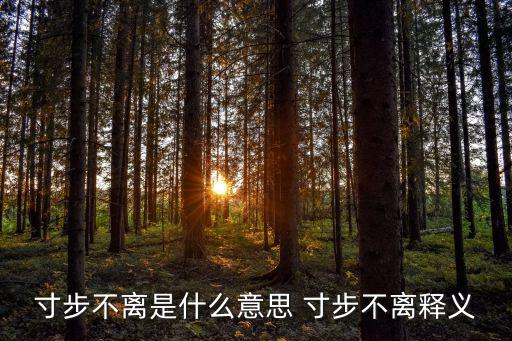 寸步不離是什么意思 寸步不離釋義