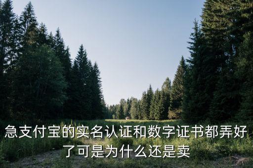 急支付寶的實名認證和數字證書都弄好了可是為什么還是賣