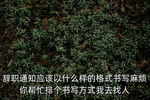 辭職通知應(yīng)該以什么樣的格式書(shū)寫(xiě)麻煩你幫忙排個(gè)書(shū)寫(xiě)方式我去找人