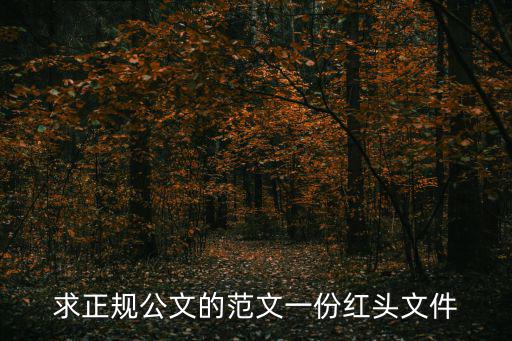 求正規公文的范文一份紅頭文件