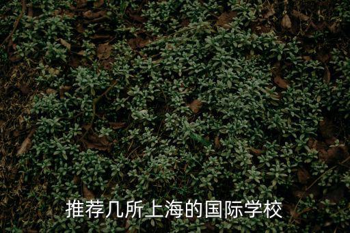 推薦幾所上海的國際學校