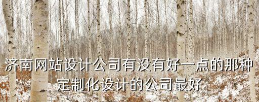 濟南網站設計公司有沒有好一點的那種定制化設計的公司最好