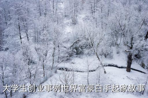 大學生創業故事，簡述一個大學生的創業經歷