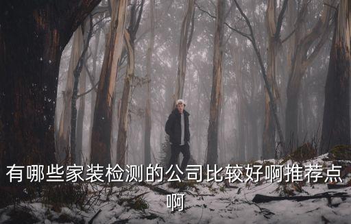 家裝第三方檢測機(jī)構(gòu)，有哪些家裝檢測的公司比較好啊推薦點(diǎn)啊