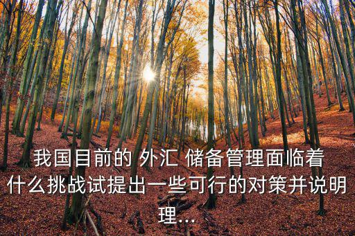  我國目前的 外匯 儲(chǔ)備管理面臨著什么挑戰(zhàn)試提出一些可行的對(duì)策并說明理...