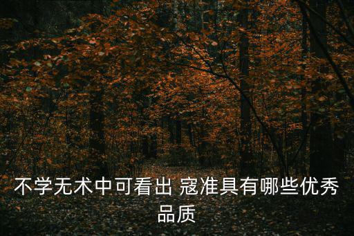 寇準簡介,宋朝宰相寇準的評價