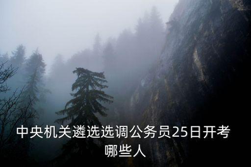 中央機(jī)關(guān)遴選2020公告，中央遴選公告中具有2年以上基層工作經(jīng)歷和2年以上公務(wù)員或參照公