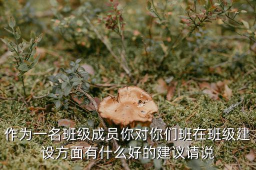 作為一名班級成員你對你們班在班級建設(shè)方面有什么好的建議請說