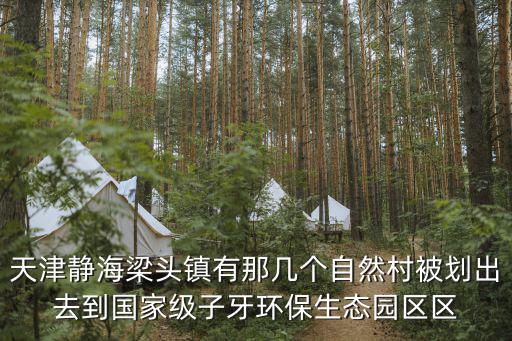 天津靜海梁頭鎮有那幾個自然村被劃出去到國家級子牙環保生態園區區