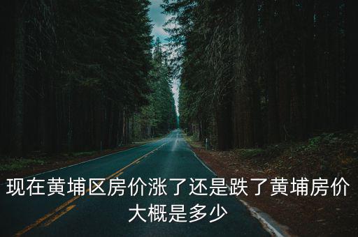現(xiàn)在黃埔區(qū)房價(jià)漲了還是跌了黃埔房價(jià)大概是多少
