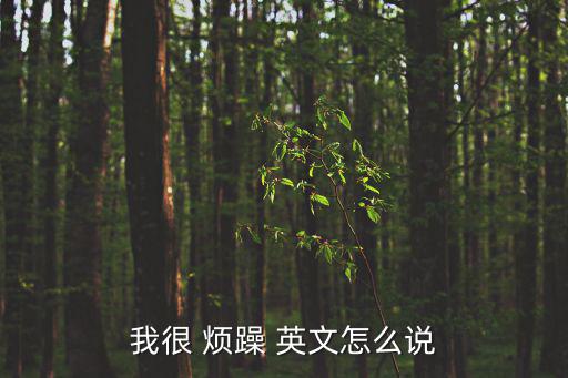 我很 煩躁 英文怎么說