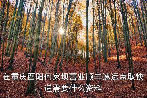 重慶市恩陽區何家壩村，四川巴中的靈堂灣在那個鄉