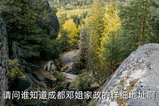 請問誰知道成都鄧姐家政的詳細地址啊