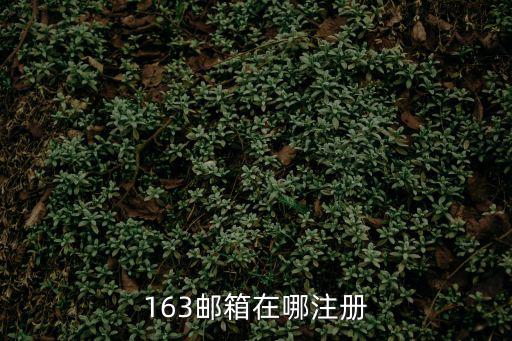 163郵箱在哪注冊