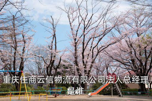 重慶住商云信物流有限公司法人總經理是誰