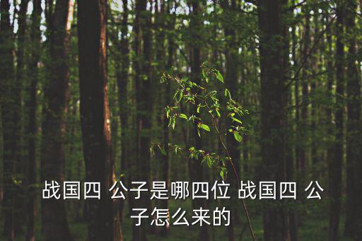 戰國四大公子,戰國4公子指魏無忌和趙聲、黃歇和田文