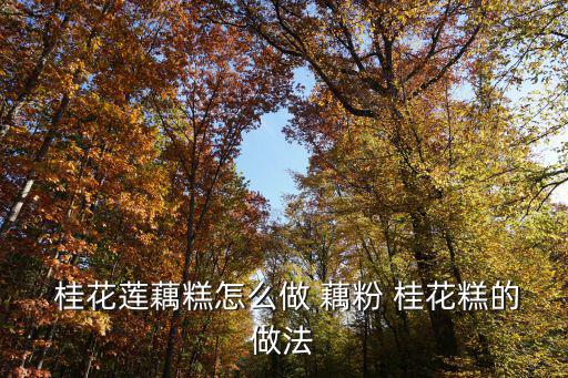 桂花藕粉,第二份蓮粉糯米糊怎么做好吃?