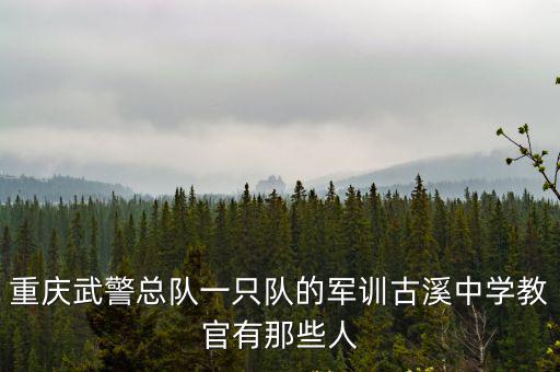 重慶市武裝部招聘教官，重慶武裝部招java技術兵不