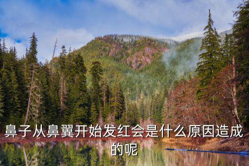 鼻翼發紅，鼻翼上老是有點紅是不是身體出什么問題了