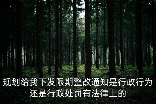 限期整改通知書，九小場所消防限期整改通知書期限是多少天