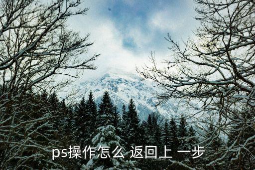 ps返回上一步,怎么從文件夾中取回電腦?
