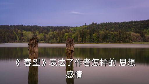 《 春望》表達了作者怎樣的 思想 感情